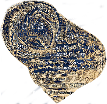 Textured Snail Shell Artwork PNG Image