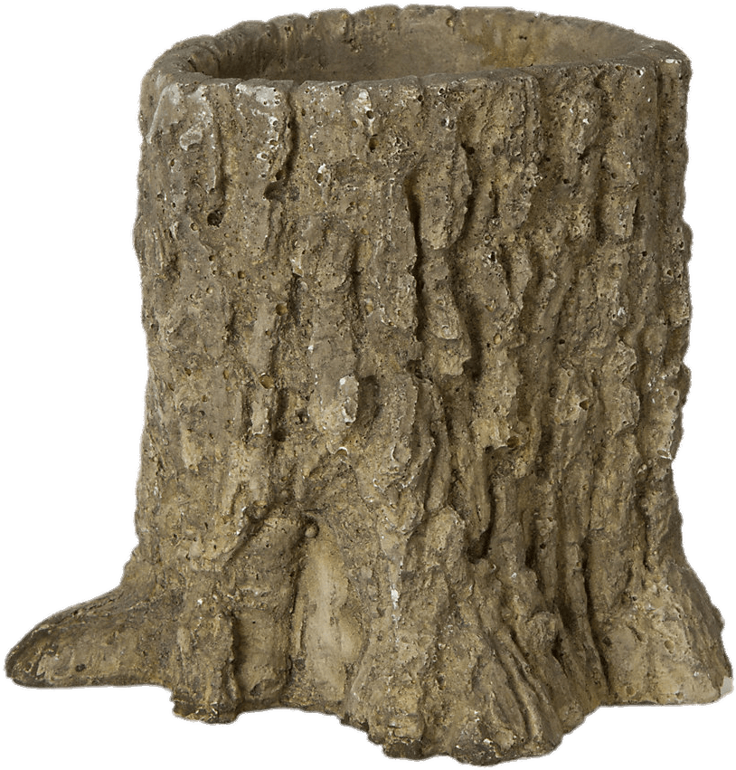 Textured Tree Trunk Section PNG Image