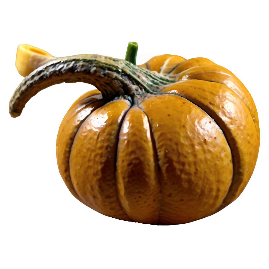 Thanksgiving Gourd Png Jew91 PNG Image