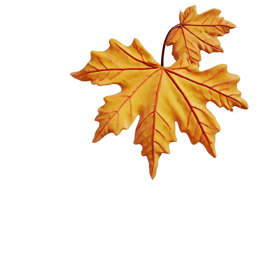 Thanksgiving Maple Leaves Png 05212024 PNG Image