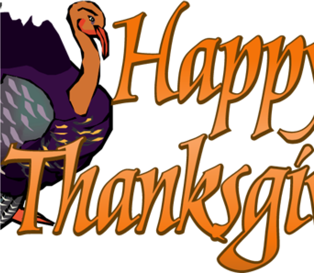 Thanksgiving Turkey Cartoon Graphic PNG Image