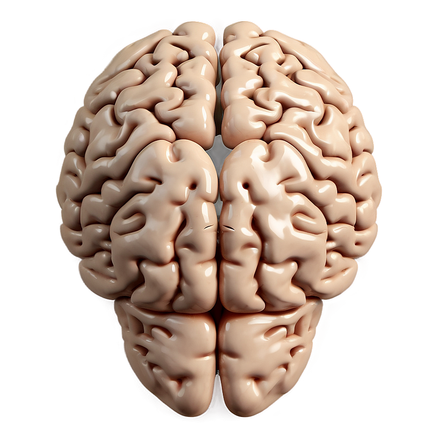 Thoughtful Brain Emoji Png 06132024 PNG Image