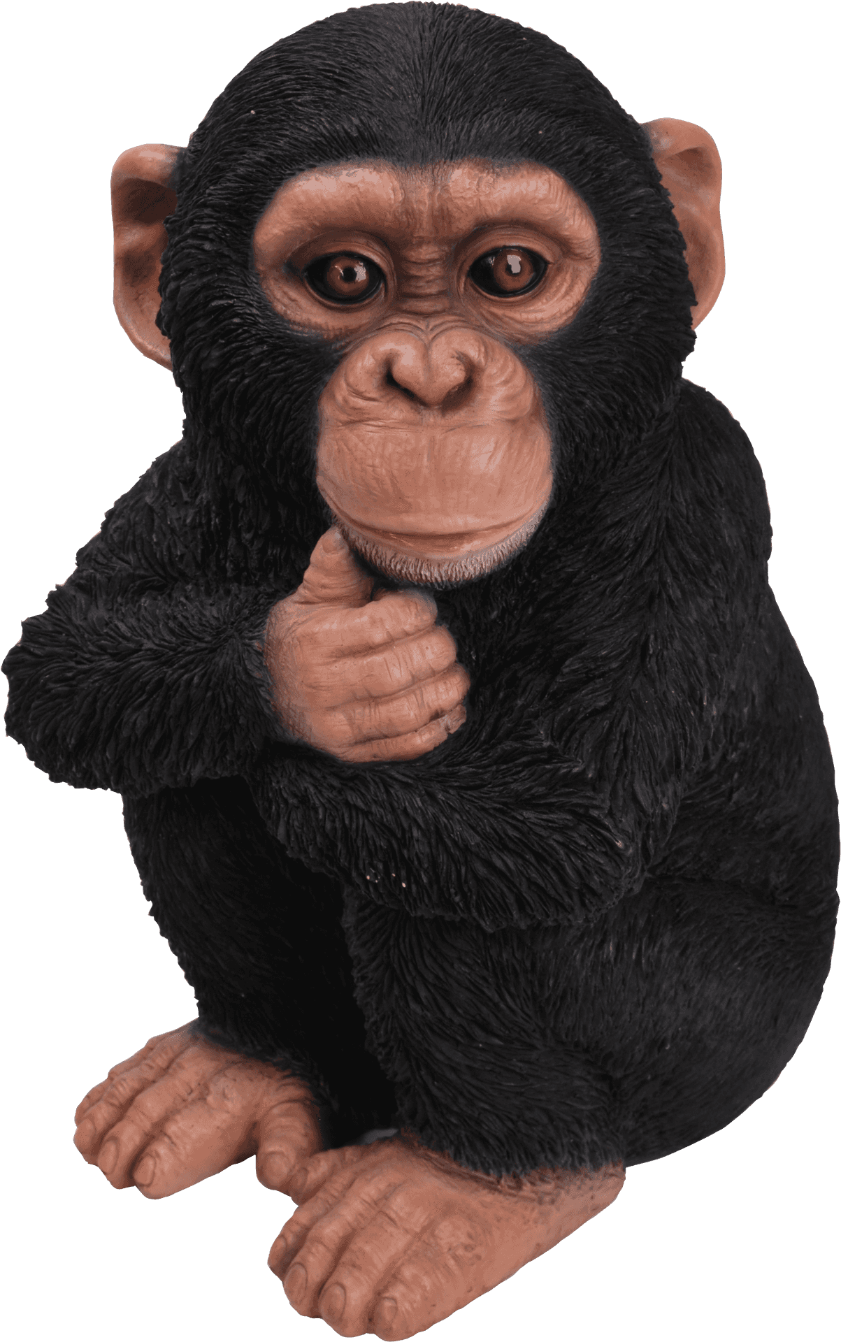 Thoughtful Chimpanzee Statue PNG Image