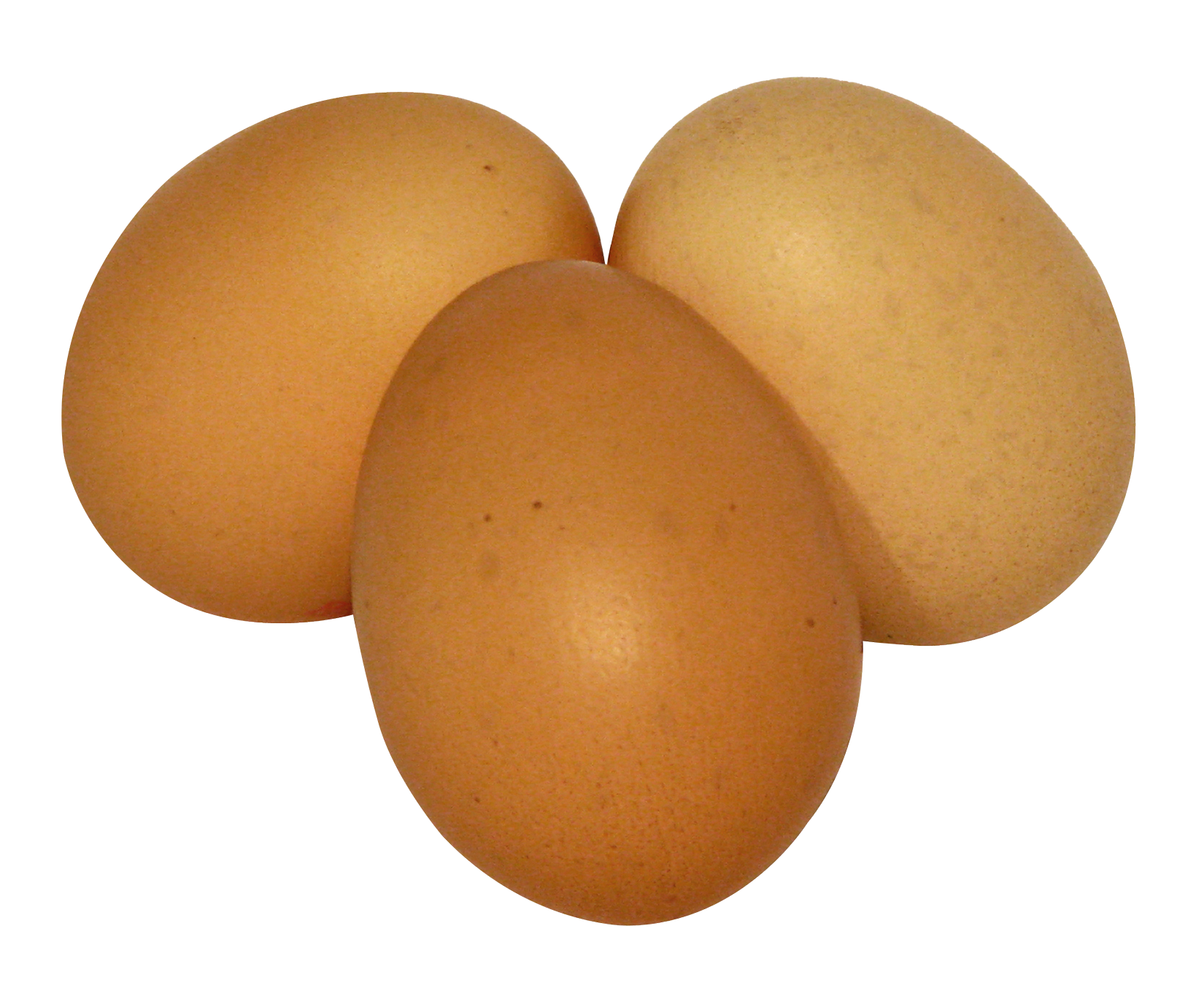 Three Brown Eggson Gray Background PNG Image