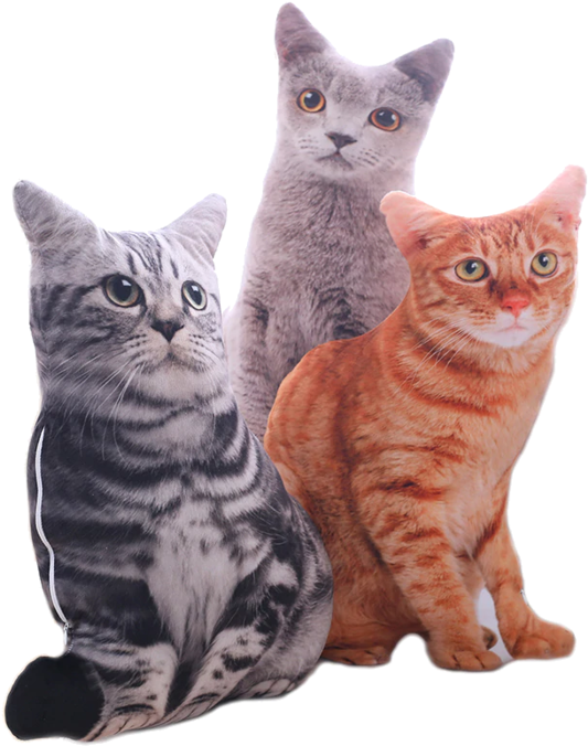 Three Cat Cushions Display PNG Image