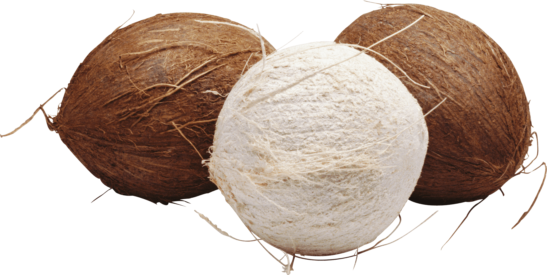 Three Coconuts Isolatedon Background PNG Image