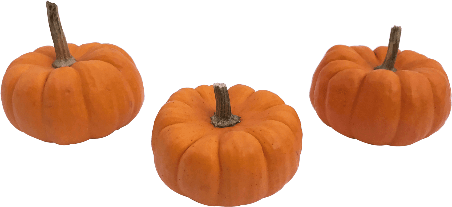 Three Orange Pumpkins Transparent Background PNG Image