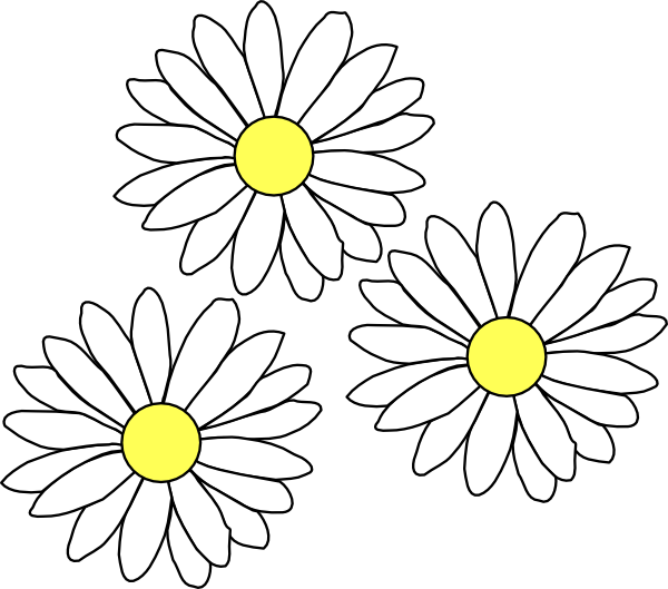 Three White Daisies Illustration.png PNG Image