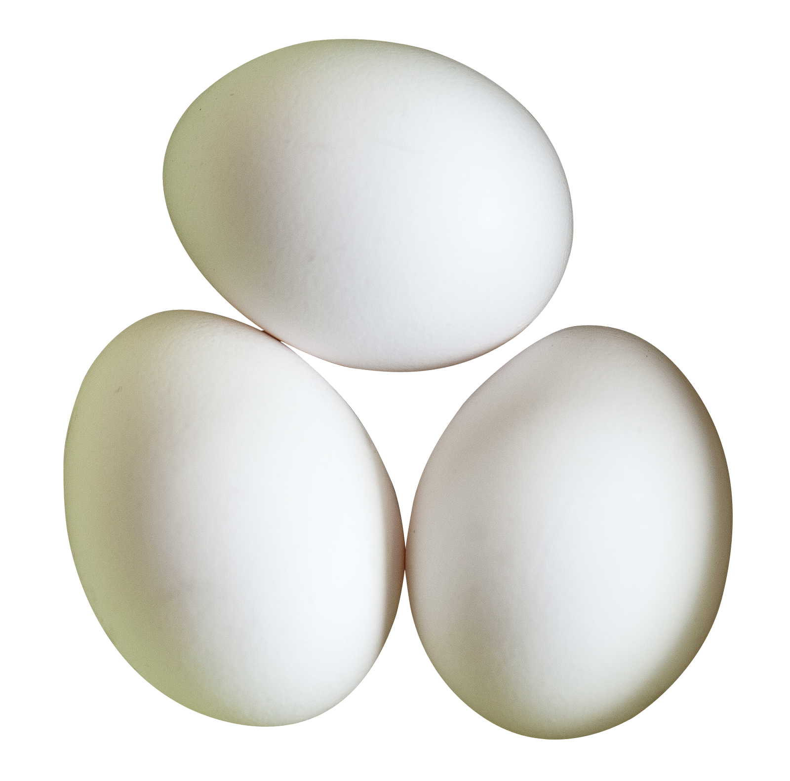 Three White Eggson Gray Background PNG Image