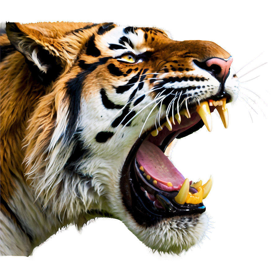 Tiger Face Roar Png 05042024 PNG Image