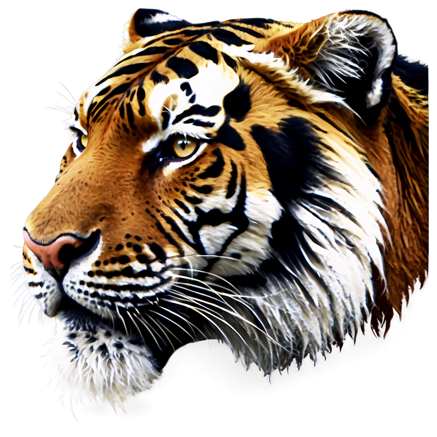 Tiger Face With Floral Patterns Png Dug10 PNG Image