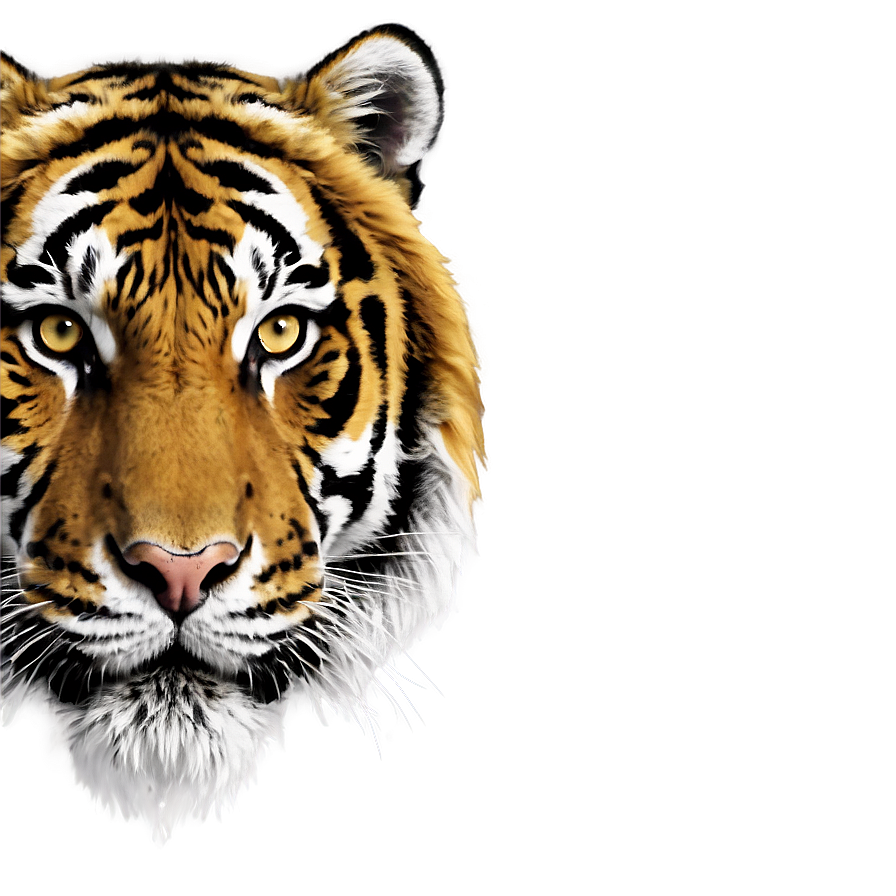 Tiger Head Png Gkj PNG Image