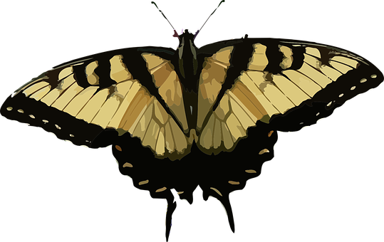 Tiger Swallowtail Butterfly Silhouette PNG Image