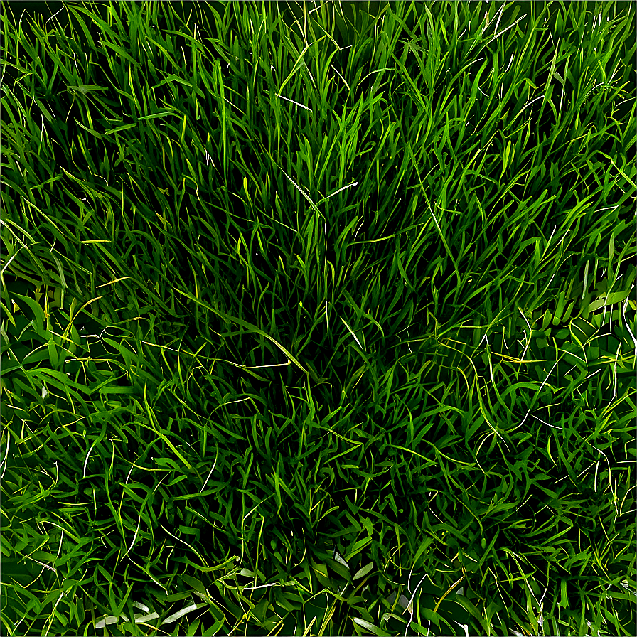 Tileable Grass Texture Png 06122024 PNG Image