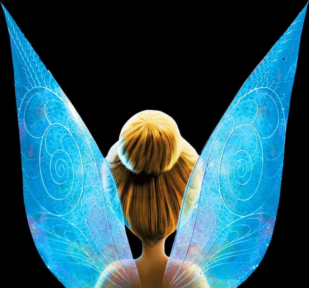 Tinkerbell Back Viewwith Wings PNG Image