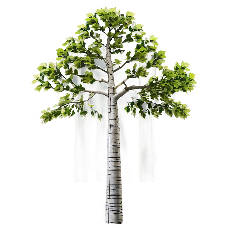 Titanic Poplar Tree Png 63 PNG Image