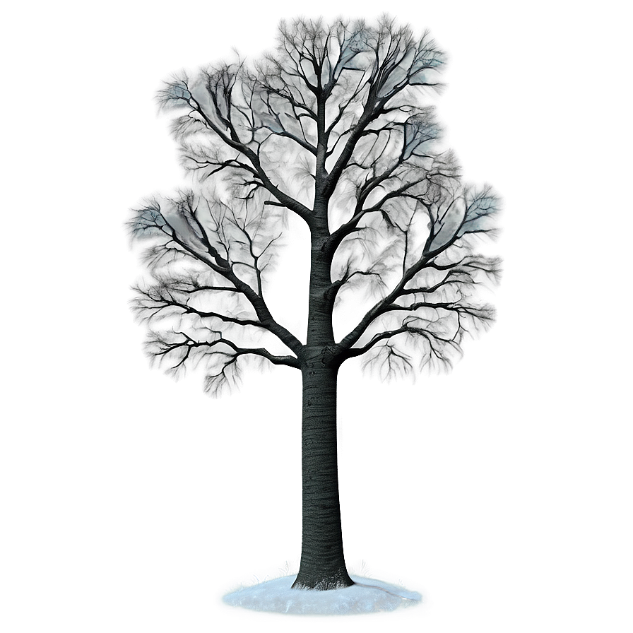 Titanic Poplar Tree Png Wcm PNG Image