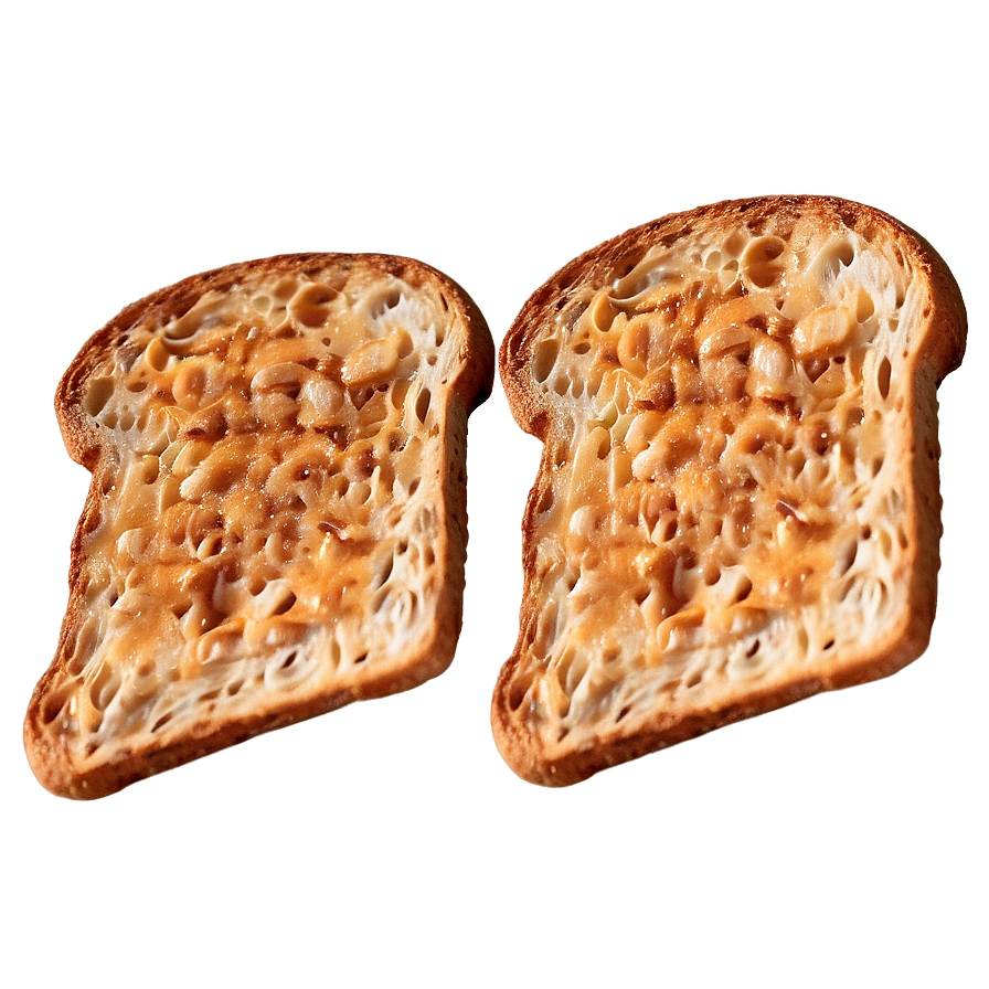 Toasted Bread Slice Png 06132024 PNG Image