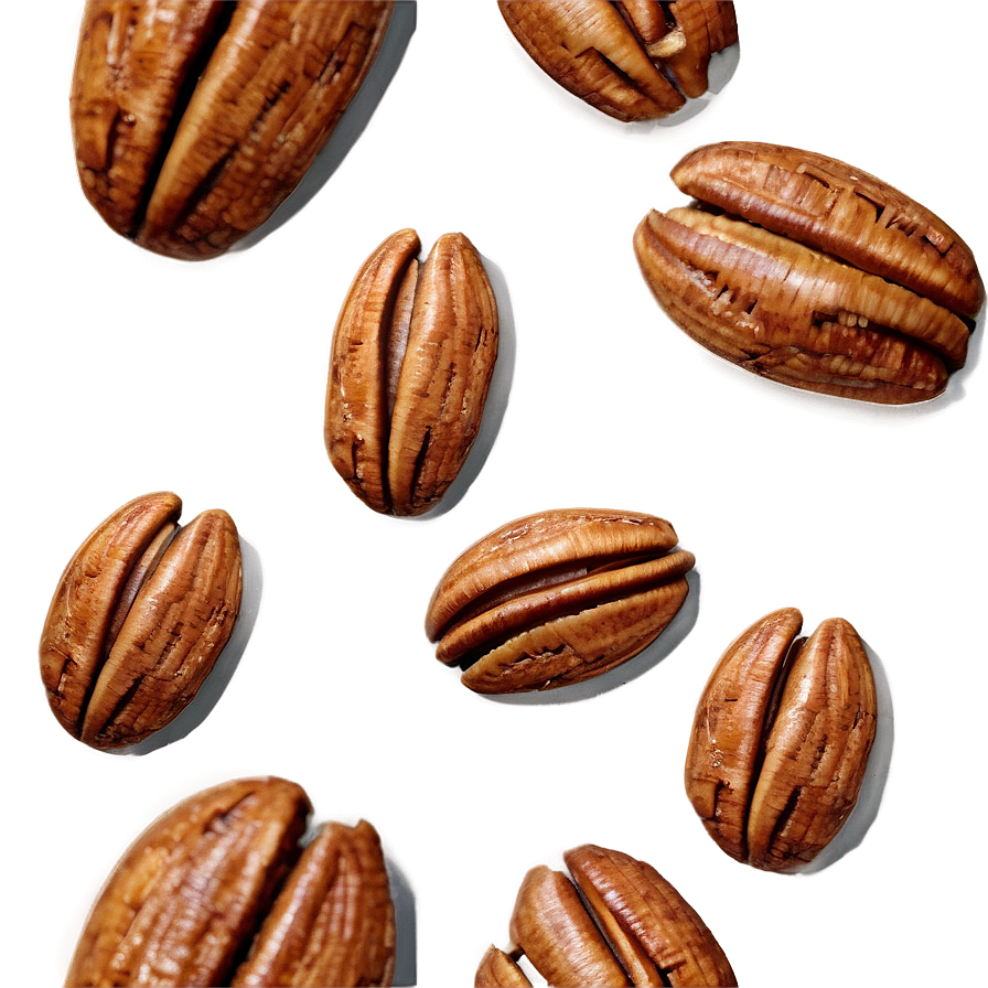 Toasted Pecan Png Agp77 PNG Image