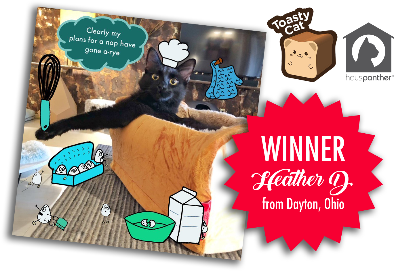 Toasty Cat Winner Heather Dayton Ohio PNG Image