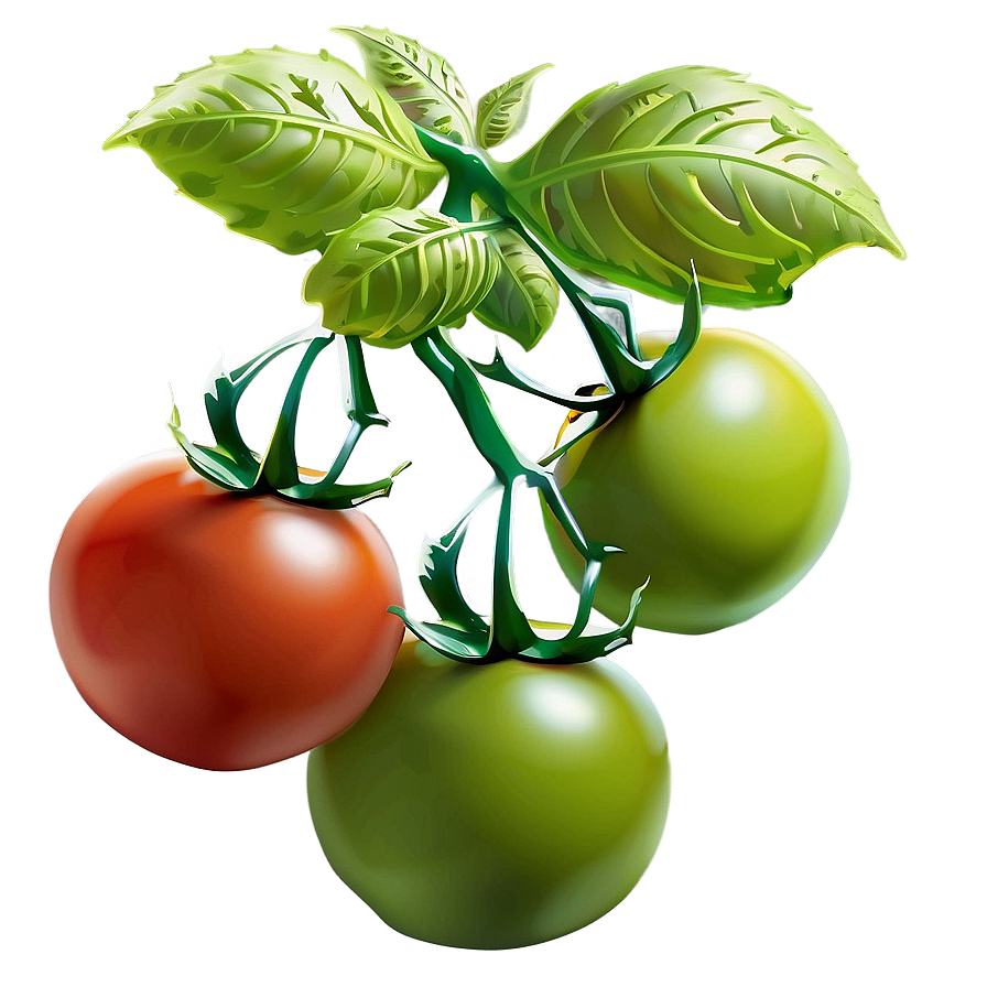 Tomato Garden Png Hvr PNG Image