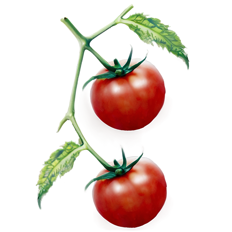 Tomato Pattern Png Auw PNG Image