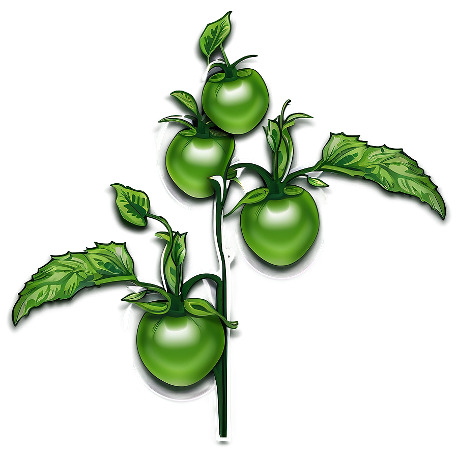 Tomato Plant Branch Png 94 PNG Image