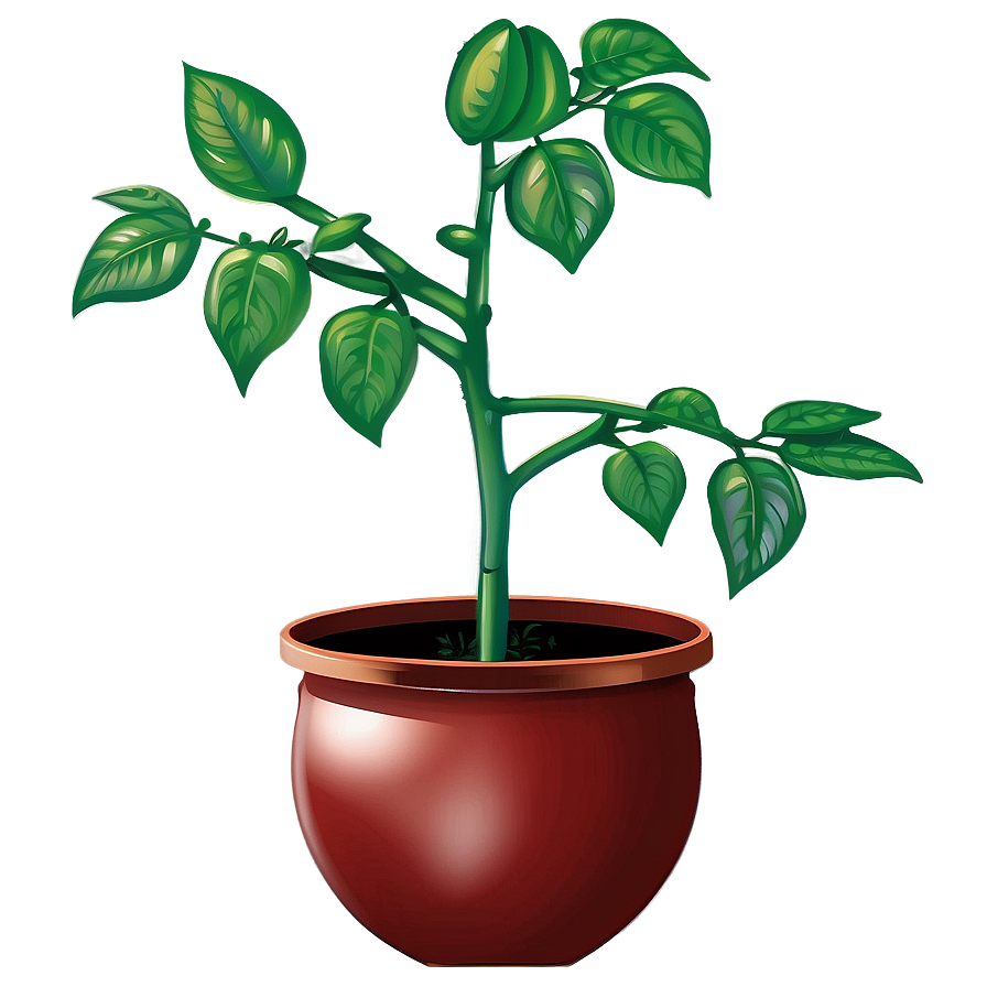 Tomato Plant Watering Png Nby43 PNG Image