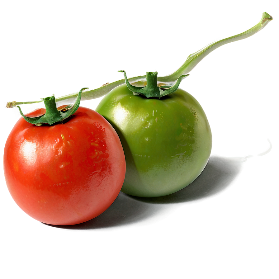 Tomato Sketch Png 76 PNG Image