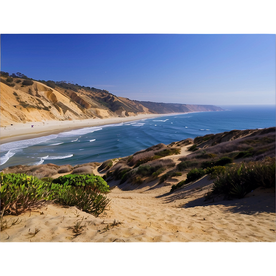 Torrey Pines State Natural Reserve San Diego Png 06252024 PNG Image