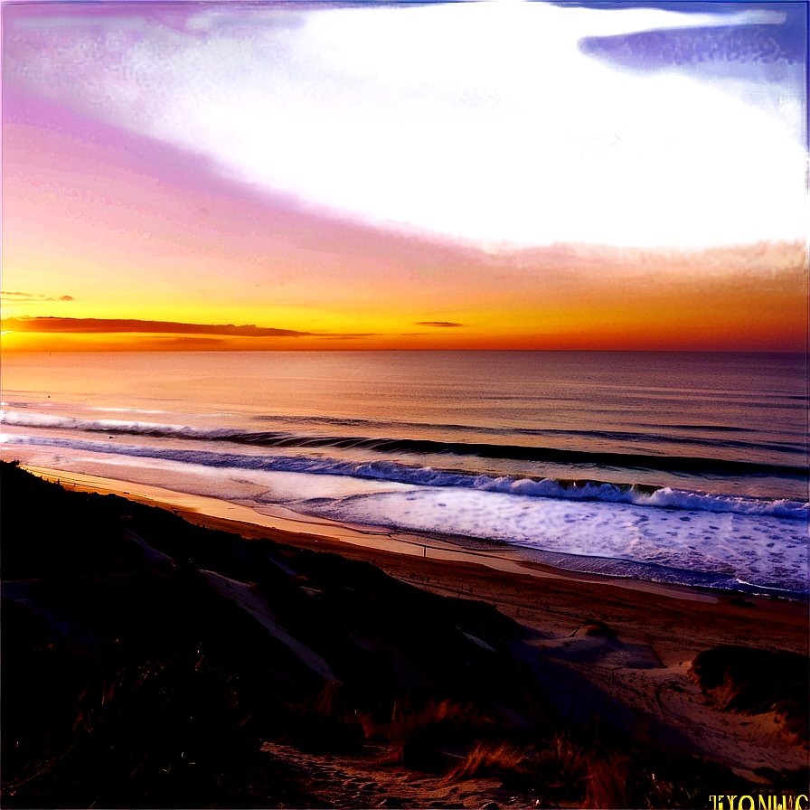 Torrey Pines State Natural Reserve San Diego Png Rlw PNG Image