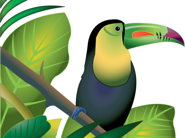 Toucan Amongst Green Leaves PNG Image