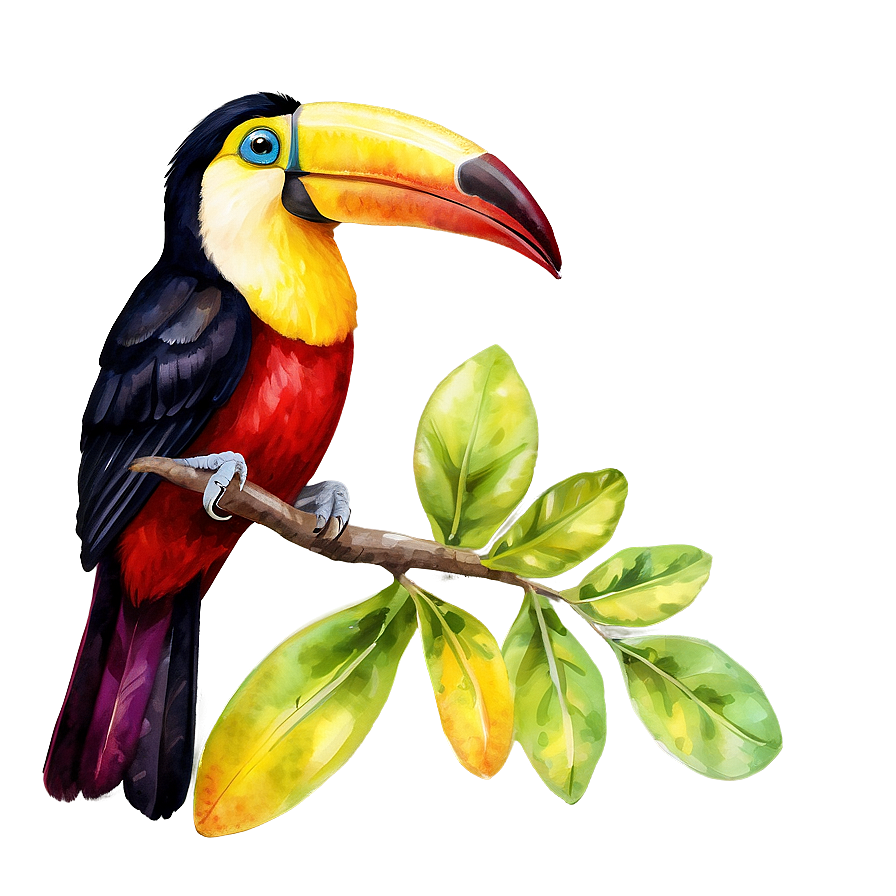 Toucan In Watercolor Png Hkm PNG Image