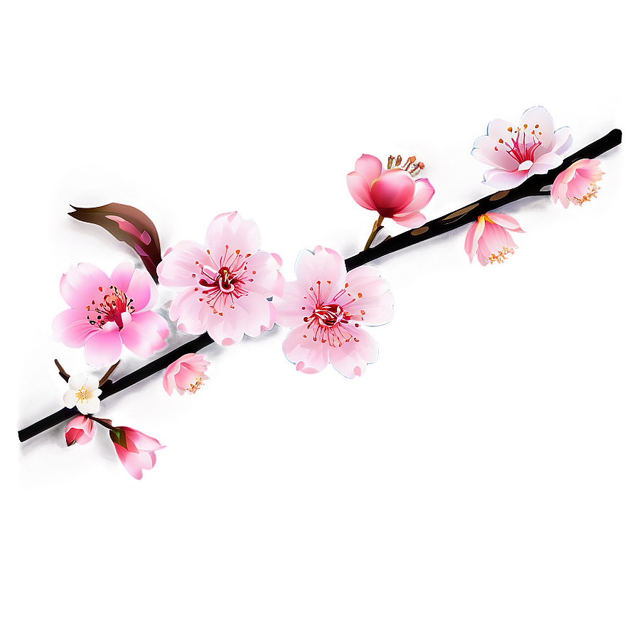 Traditional Japanese Cherry Blossom Png Amx59 PNG Image