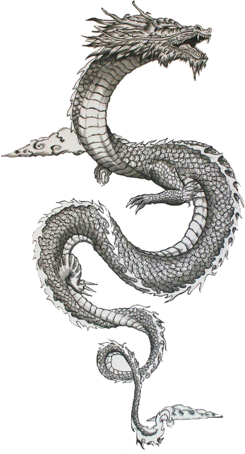 Traditional Japanese Dragon Art PNG Image