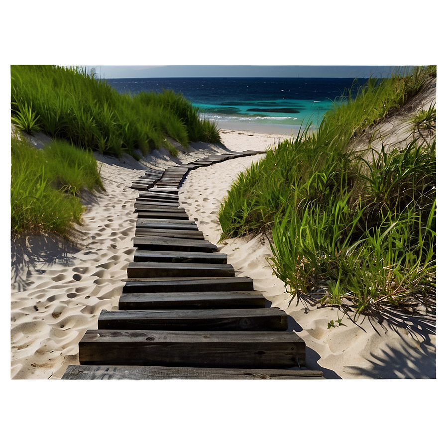 Tranquil Beach Path Png Njk PNG Image