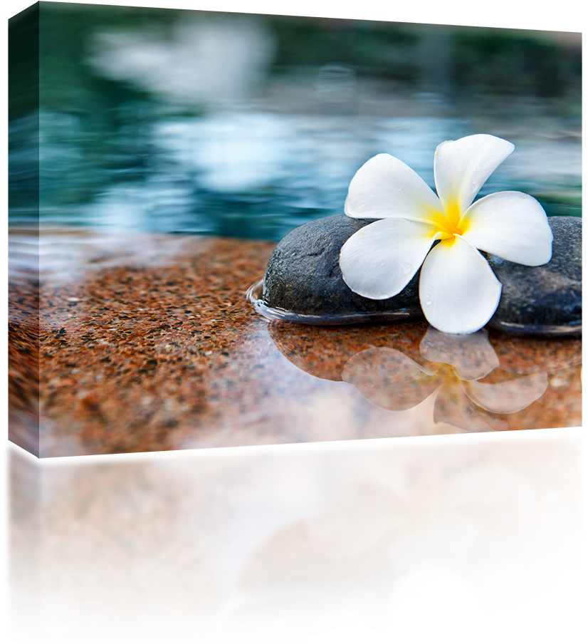 Tranquil Spa Plumeriaand Stone PNG Image