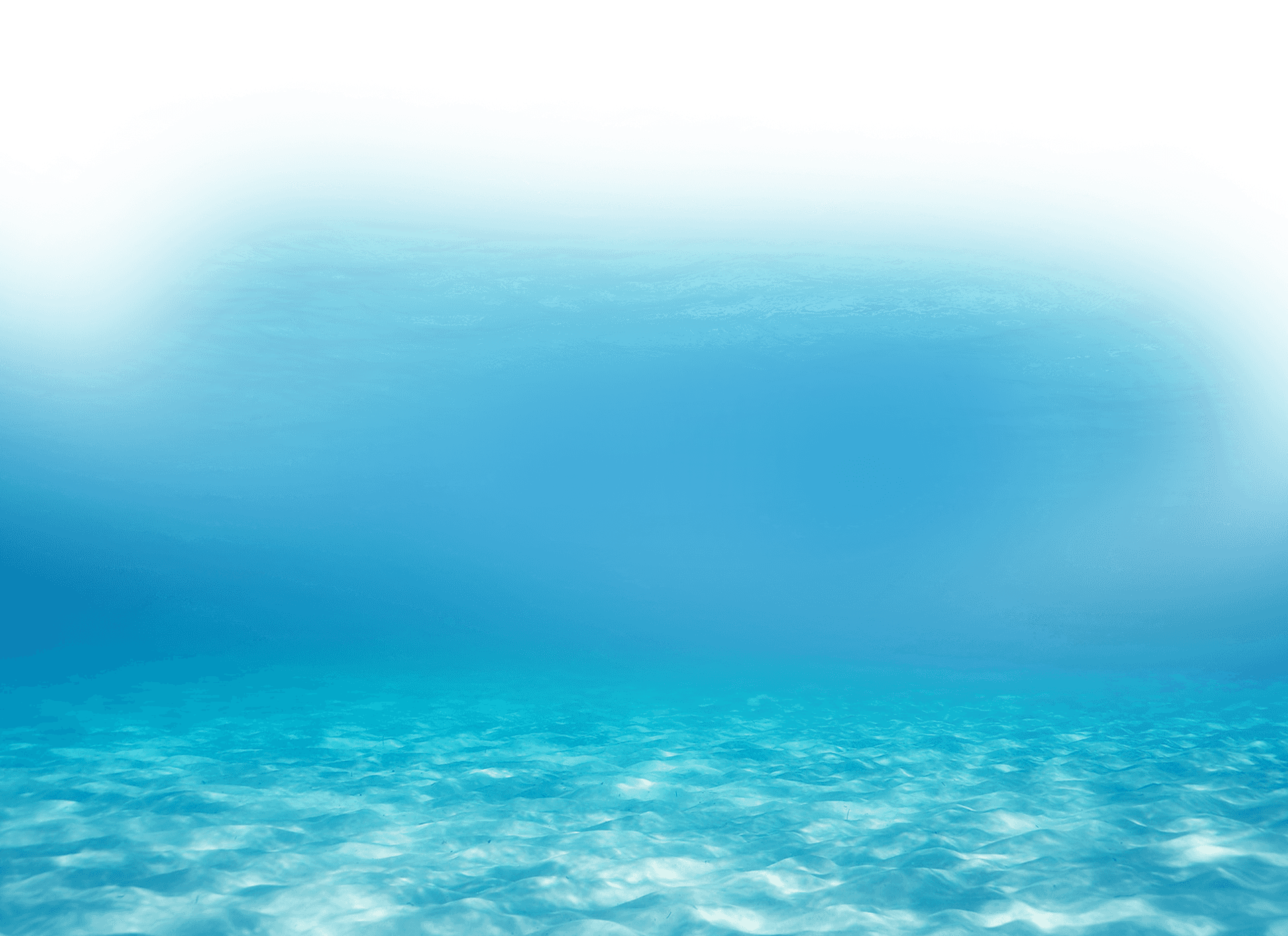 Tranquil Underwater Scene PNG Image