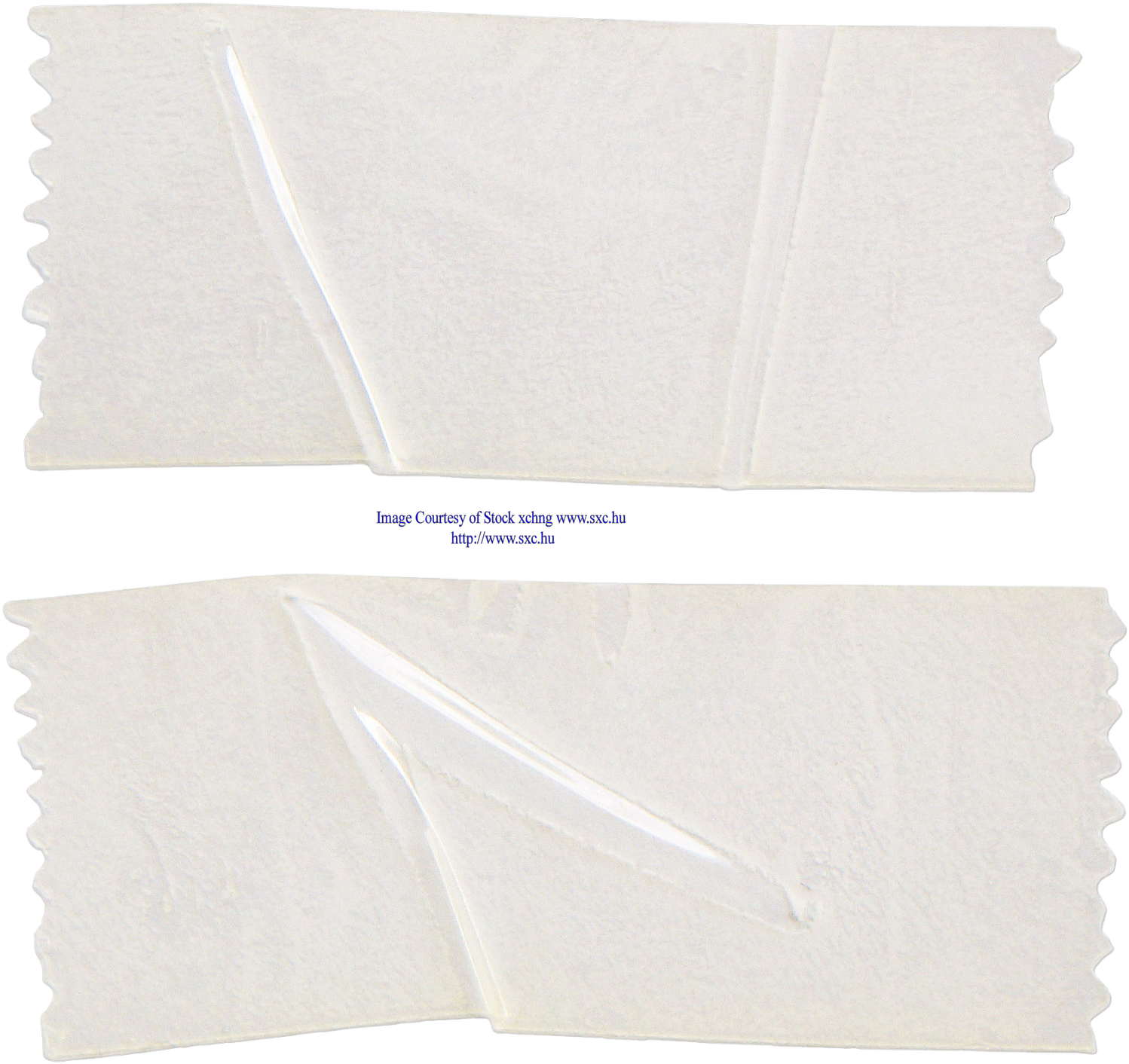 Transparent Adhesive Tape Pieces PNG Image