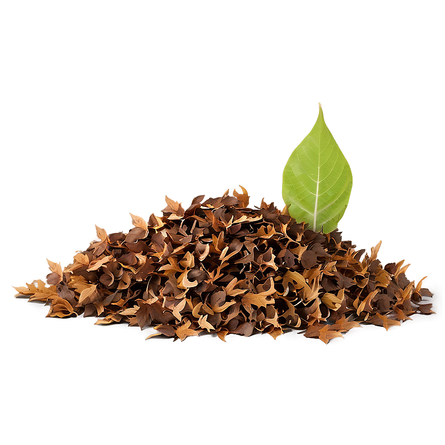 Transparent Background Leaf Pile Png Shv PNG Image