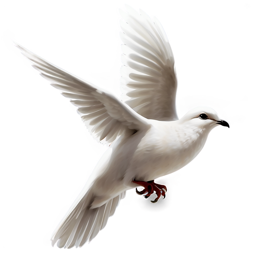 Transparent Dove Clipart Png Rxj PNG Image