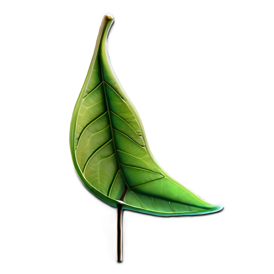 Transparent Leaf Png Eow84 PNG Image