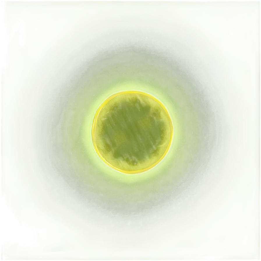 Transparent Yellow Circle Overlay Png 79 PNG Image