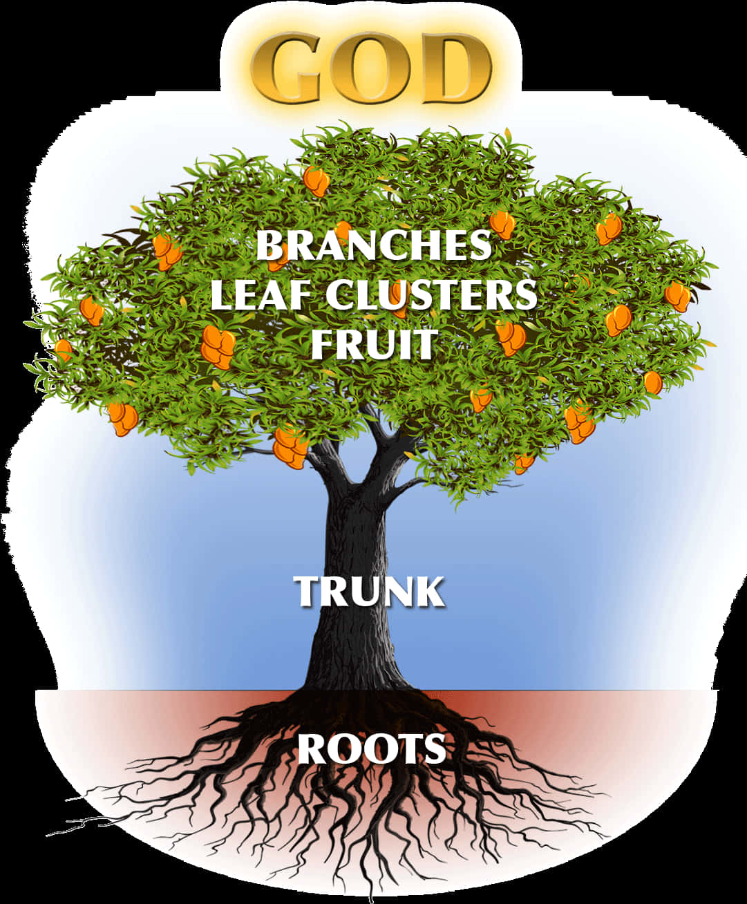 Tree Anatomy Spiritual Concept Illustration PNG Image