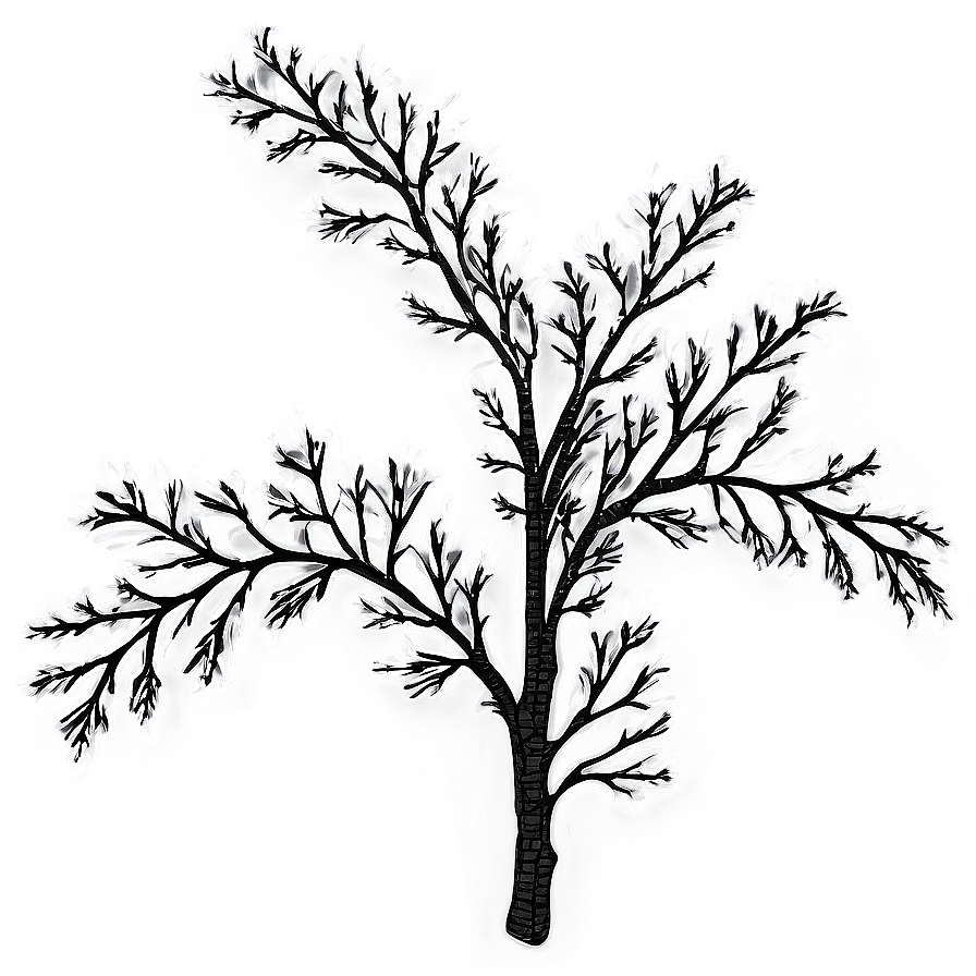 Tree Branch Clip Art Png 67 PNG Image