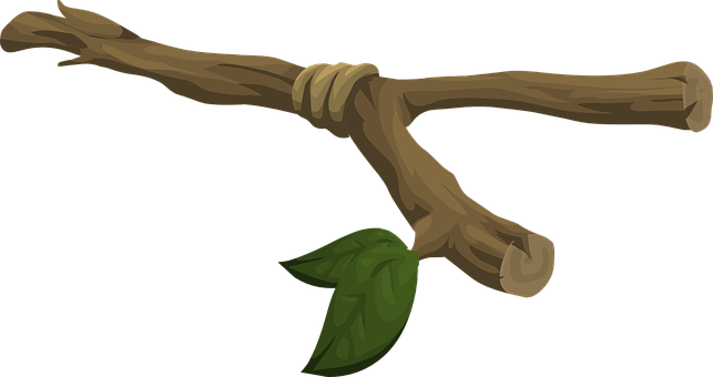 Tree Branch Single Leaf PNG Image