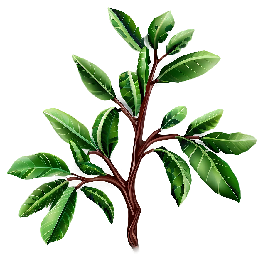 Tree Branch With Leaves Png 05252024 PNG Image