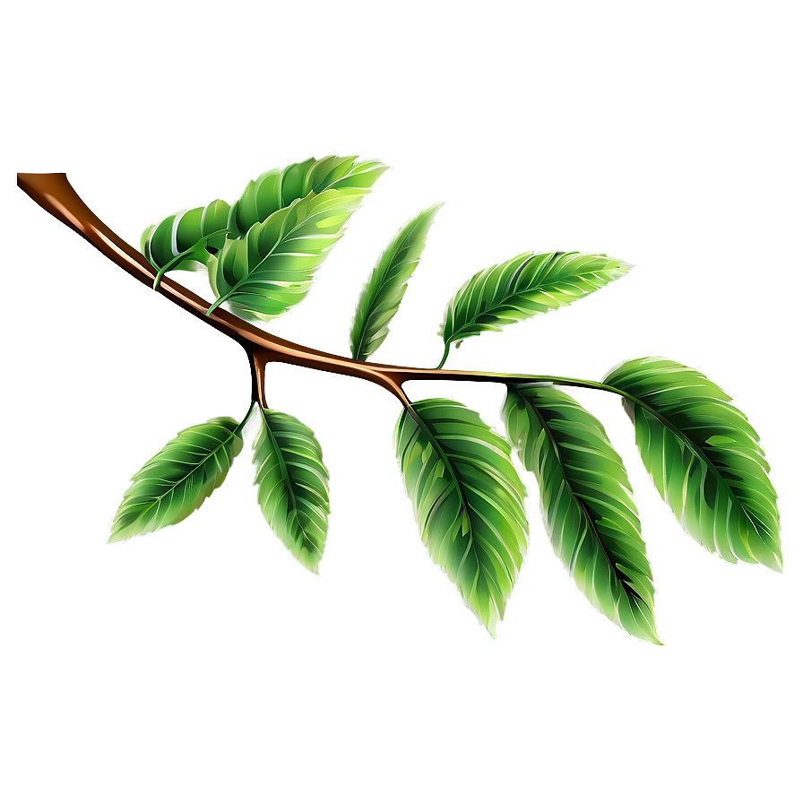 Tree Branch With Leaves Png Rnn45 PNG Image