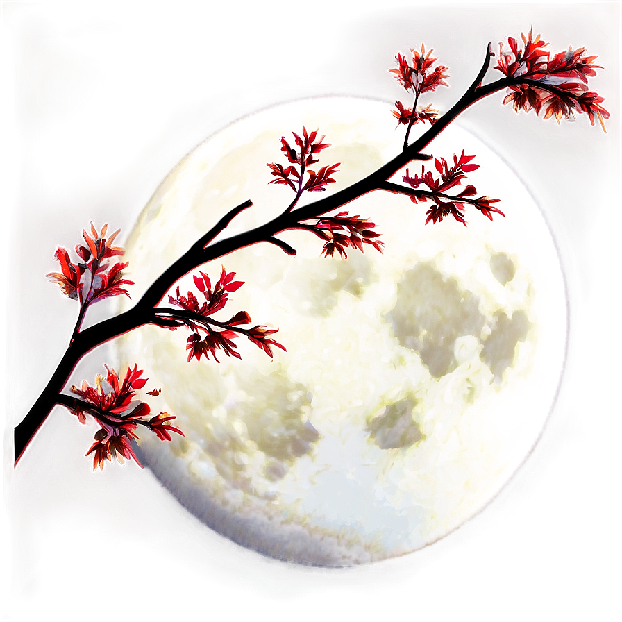 Tree Branches And Moon Png 52 PNG Image