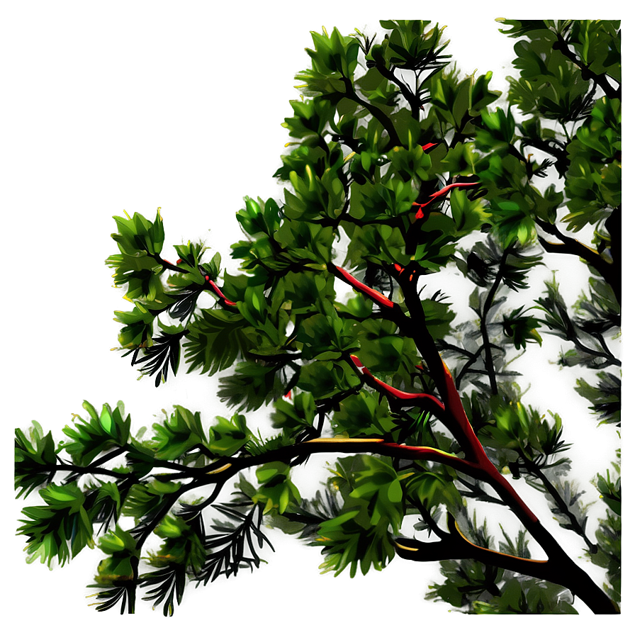 Tree Branches At Night Png 41 PNG Image